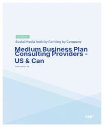 Medium Business Plan Consulting Providers - US & Can